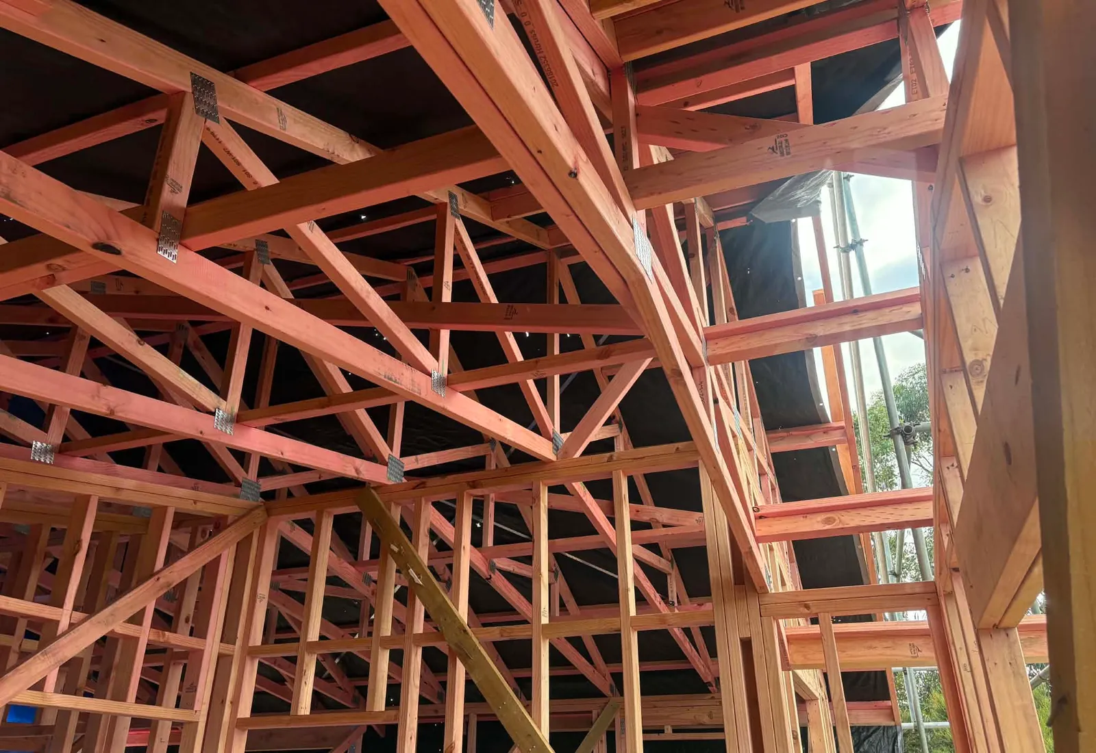 Interior framing detail — pink-treated trusses going up to form the new second-storey roof structure