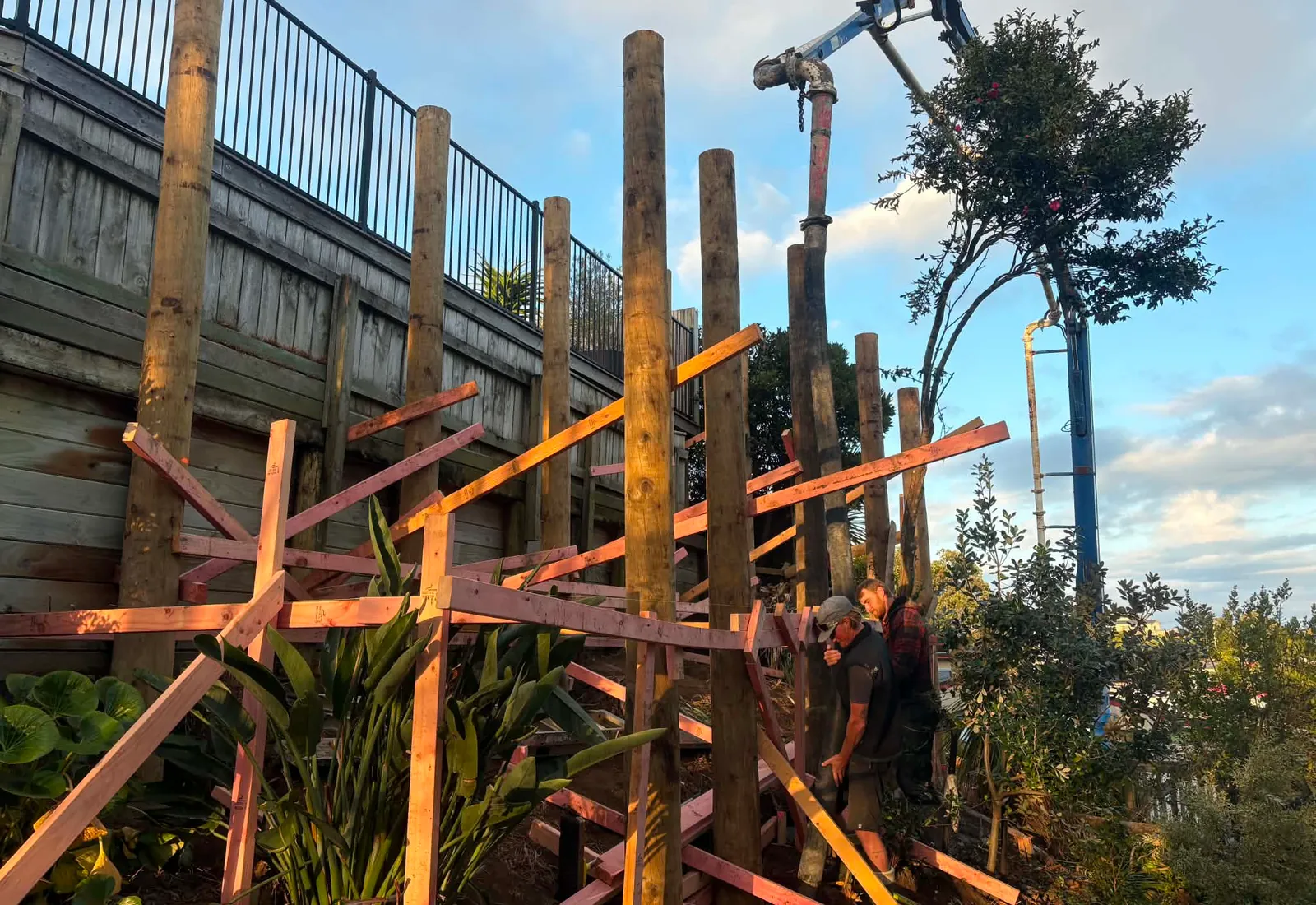 Concrete being pumped into the post footings while the new vertical timber posts are braced into position
