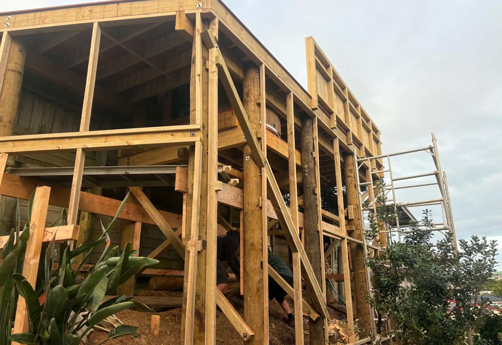 View from below the elevated deck showing the post and beam structure with diagonal bracing